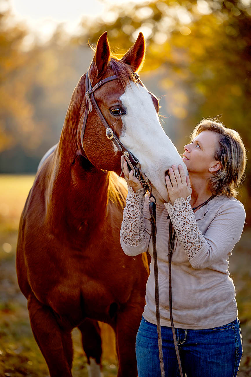 Equine Photographer