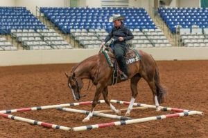 Horse Show Photographer