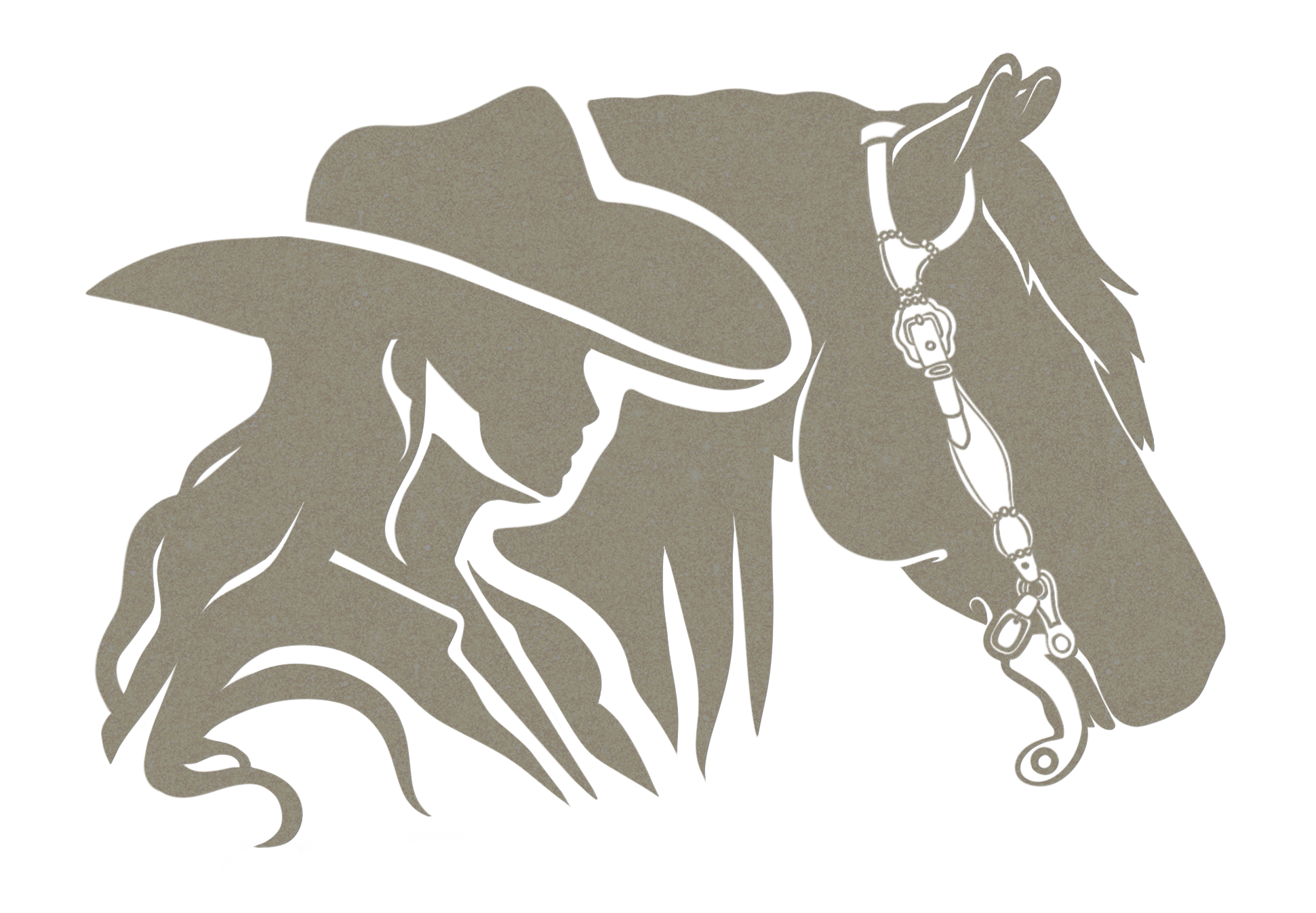 Professional Equestrian Photographer