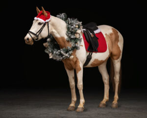 Equine Christmas Wreath Black Background