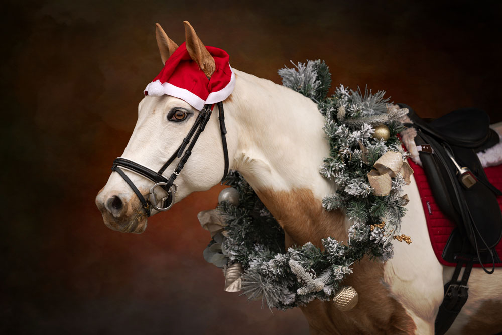 Equine Christmas Wreath Black Background