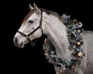 Equine Christmas Wreath Black Background