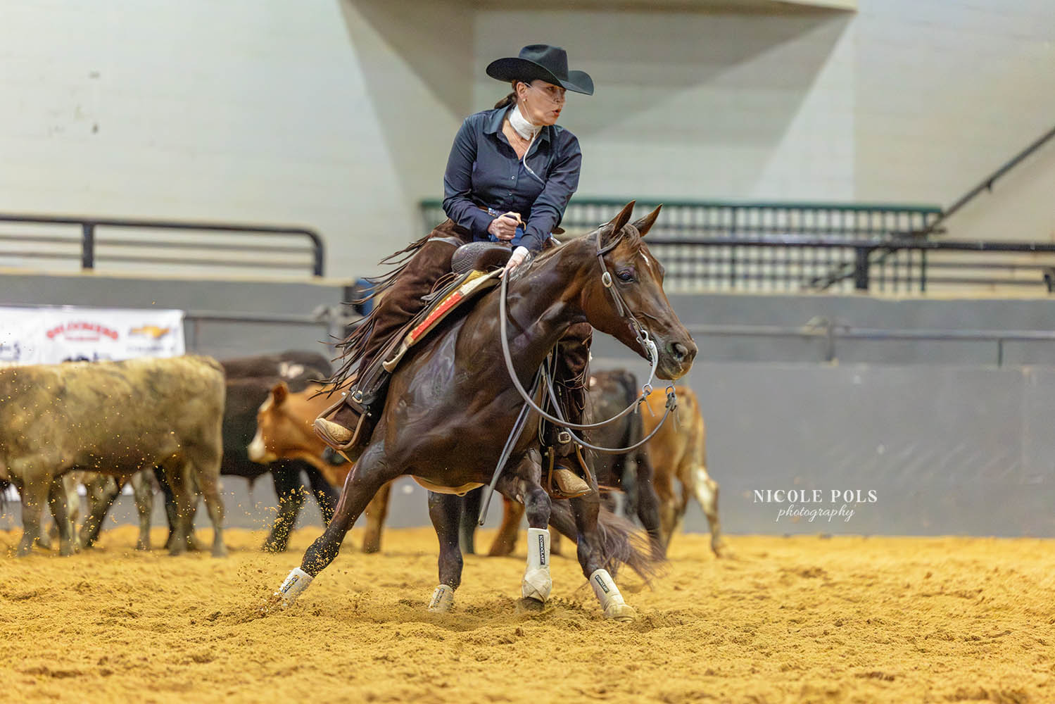 ncha cutting horse