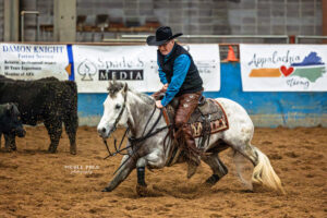 NCHA - ETCHA - Cutting Horses