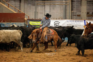 NCHA - ETCHA - Cutting Horses