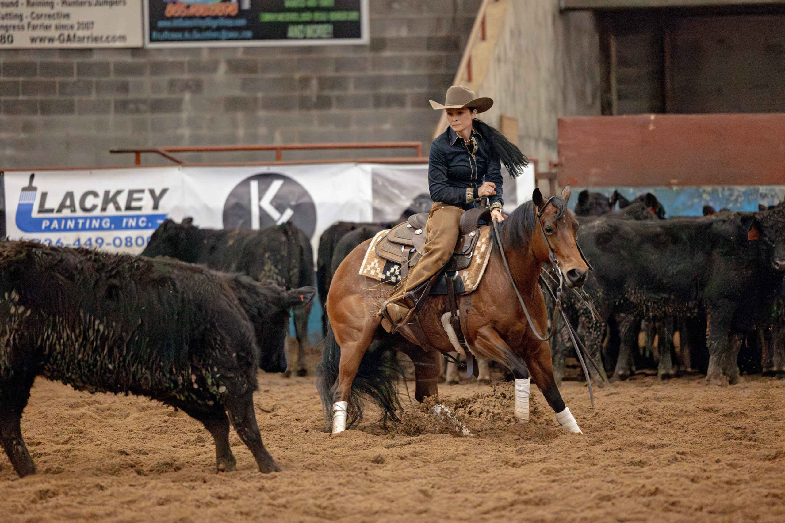 NCHA - ETCHA - Cutting Horses