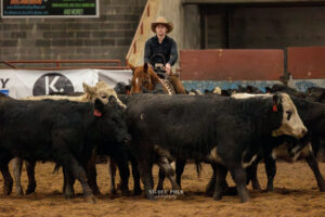 ncha - etcha - cutting horses