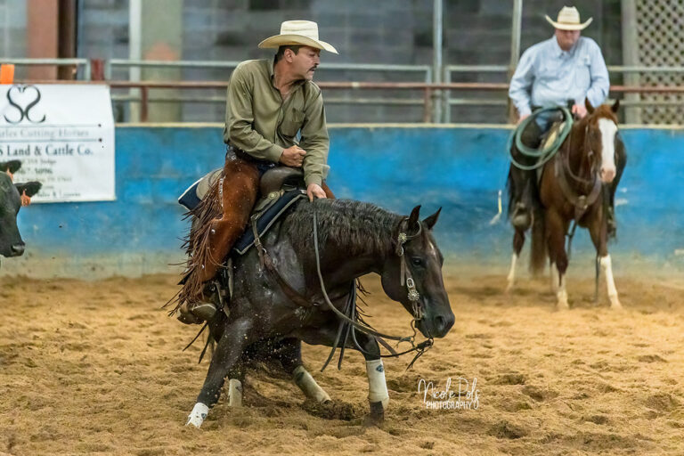 Horse Show Photographer - ETCHA - Cutting Horses