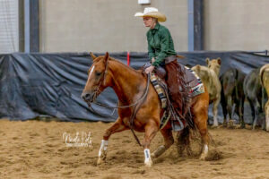 Cutting Horse Show Photographer - NEALCHA