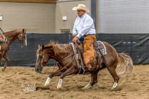 Cutting Horse Show Photographer - NEALCHA