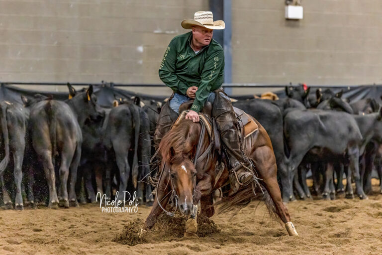 Cutting Horse Show Photographer - NEALCHA