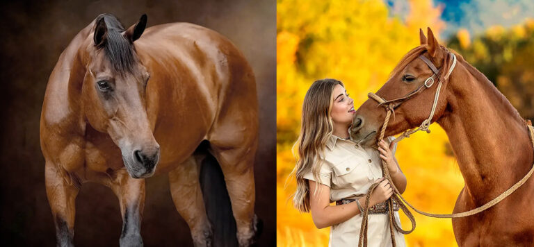 6 Secrets To Finding The Perfect Horse Photographer