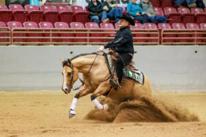 Horse Show Photographer