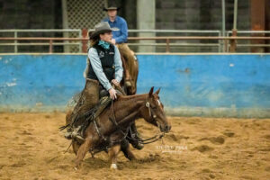 Cutting Horse - NCHA - ETCHA