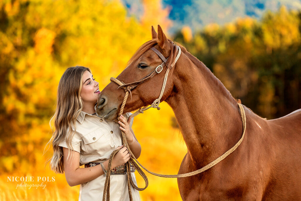 Equestrian Photographer