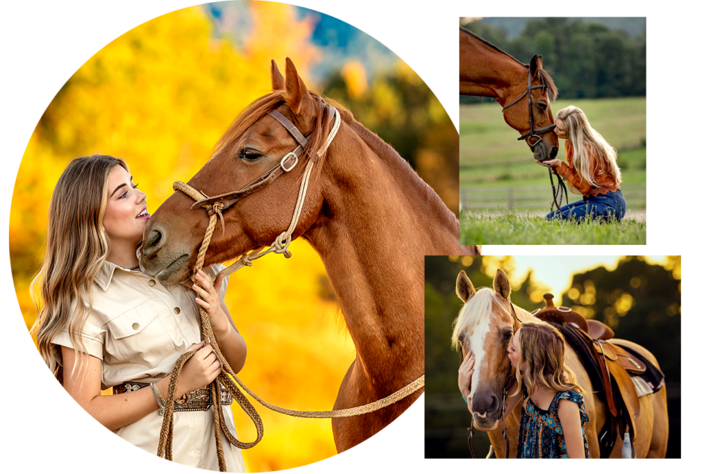 Equestrian Photographer and Equine Photography