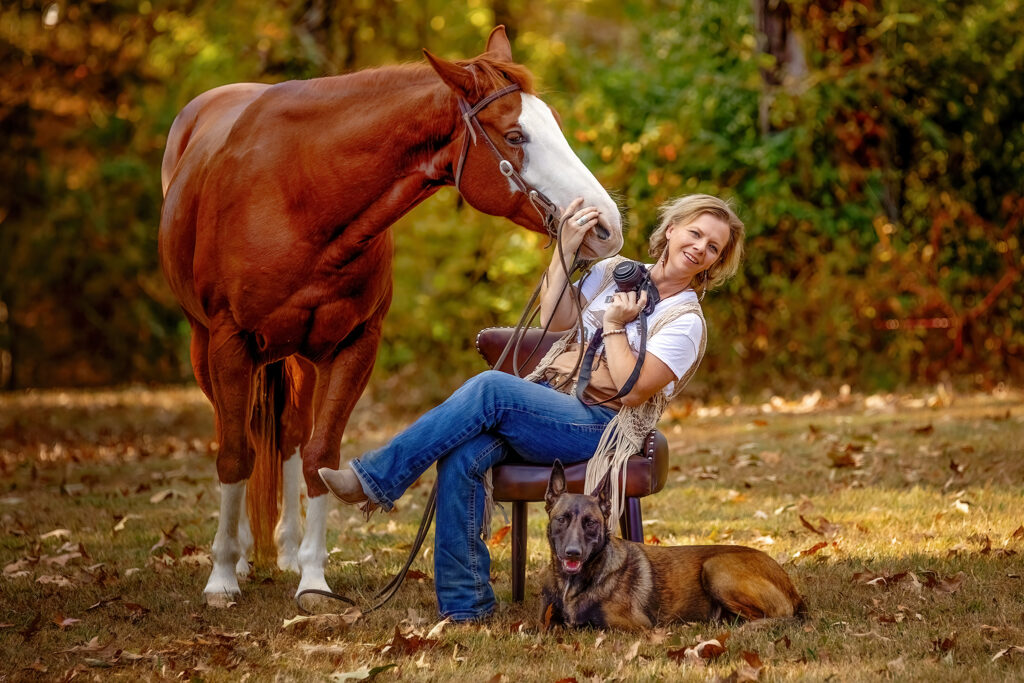 equine and equestrian Photographer