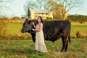  highschool Senior Pictures with cows