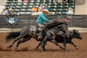 working cow horse Show Photographer