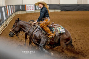 working reined cow horse - NRCHA