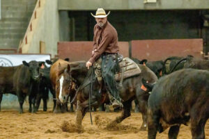 Cutting Horse