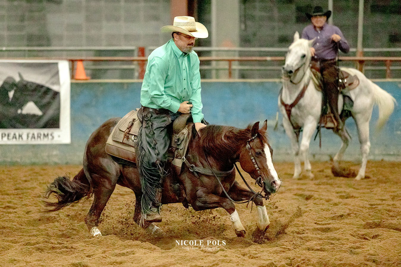 NCHA Cutting Horse