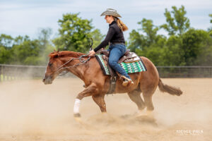 Reining Horse Bridleless Spin