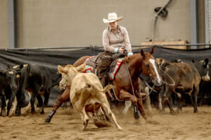 NCHA Cutting Horses NEALCHA