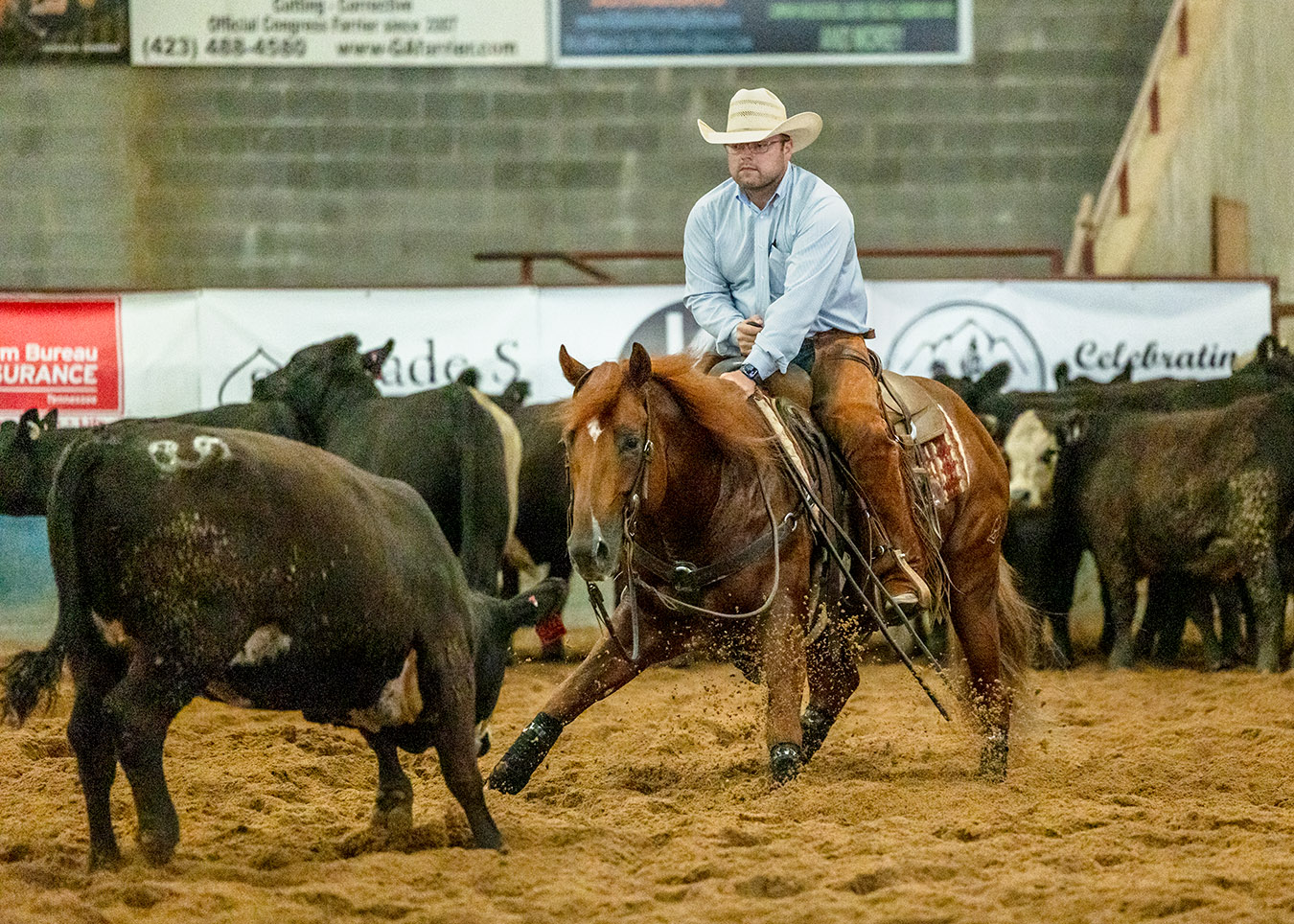 ETCHA Cutting Horse Association Tennessee