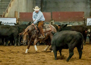 ETCHA Cutting Horse Association