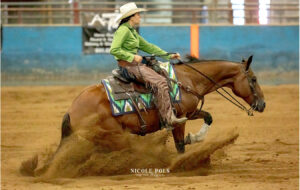 Southeastern reined Cow horse Association