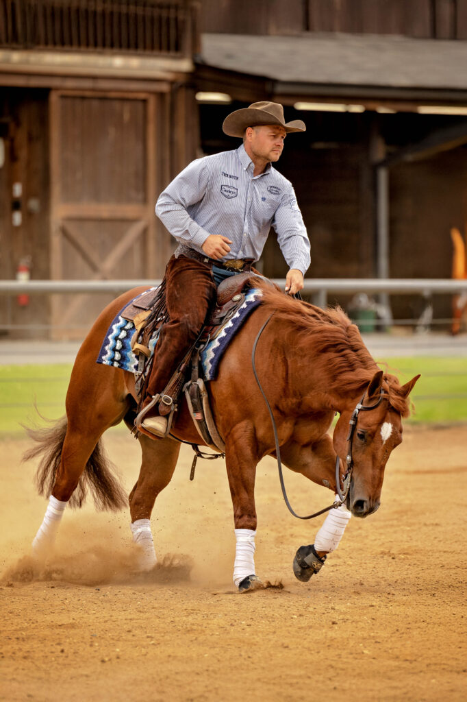 Reining Horses Creekside Ringgold Georgia