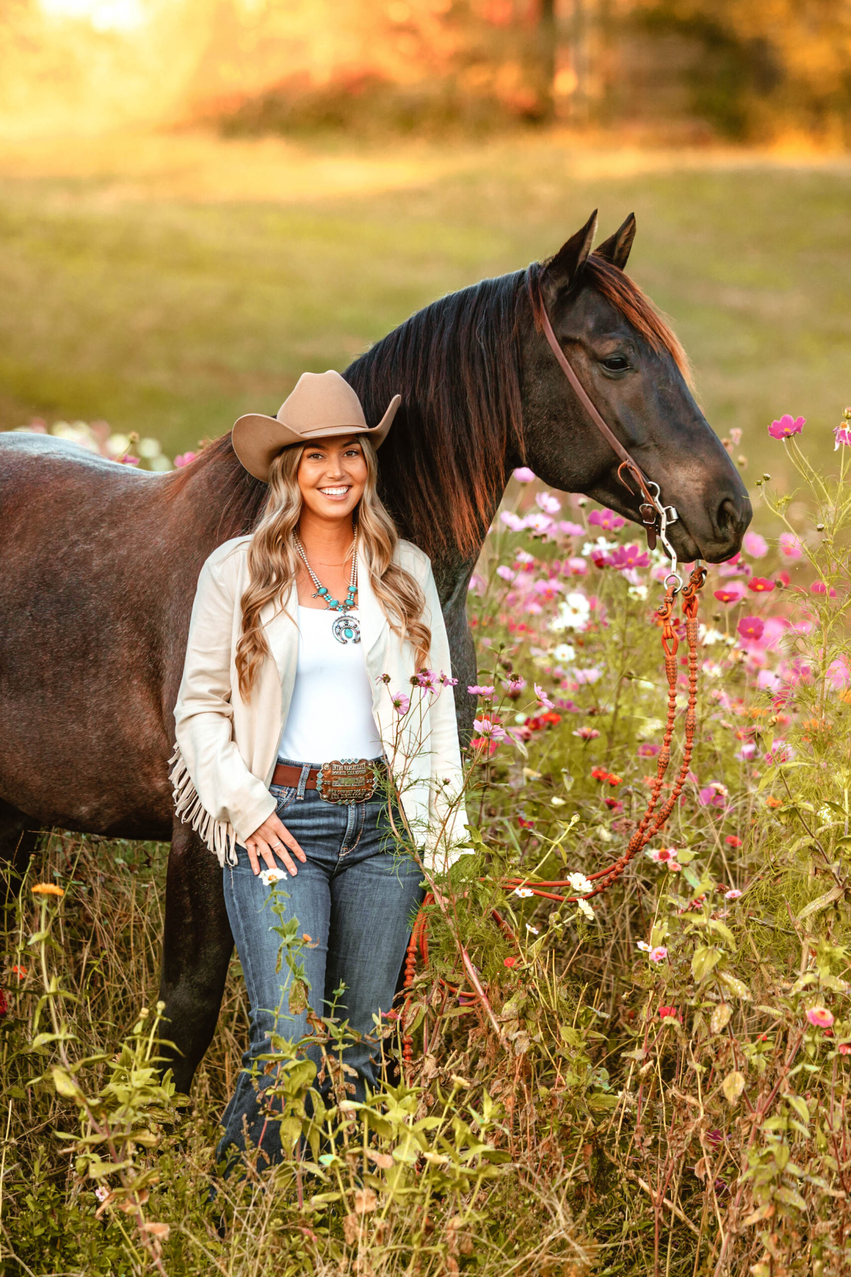 Horses in Chattanooga