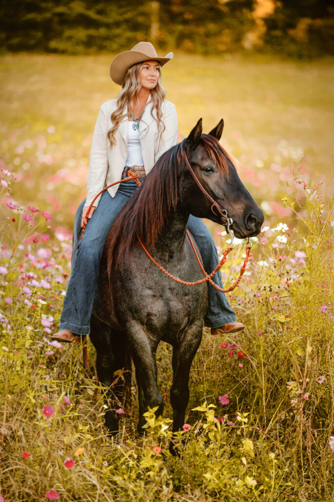 Beautiful Horse Photography