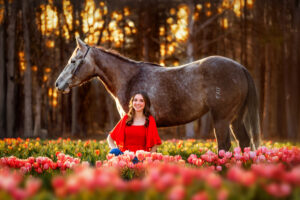 senior photography with horse in tulip field