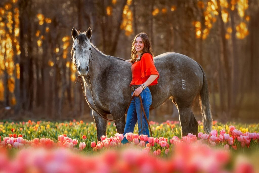 Senior photography with horse in a tulip field