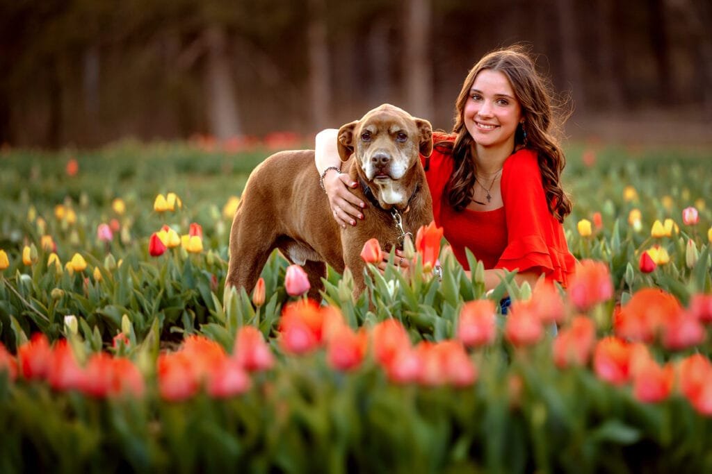 Senior photography with dog in a tulip field