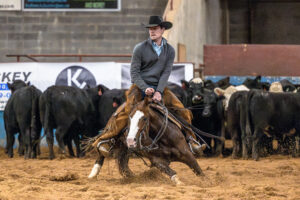 NCHA - ETCHA - Cutting Horses