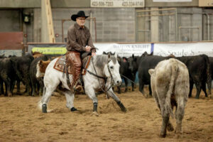 NCHA - Cutting Horses - ETCHA