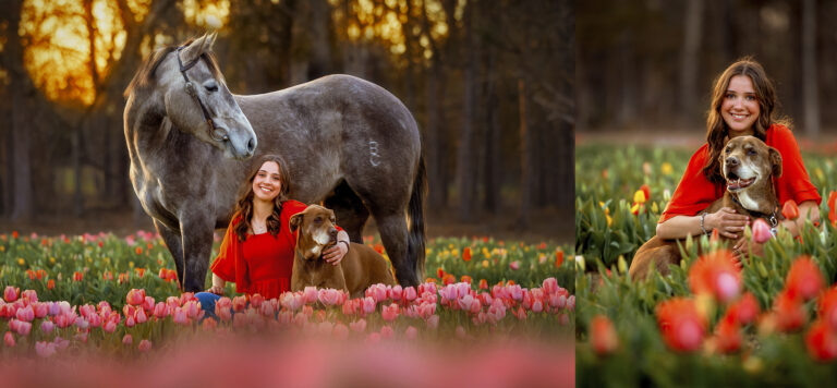 Magic In The Tulips: Senior Photography With Horse & Dog