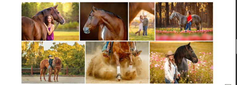 Don’t Book That Horse Session Yet—Ask These 8 Things First!