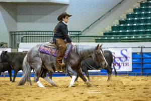 NCHA - Showdown in the South