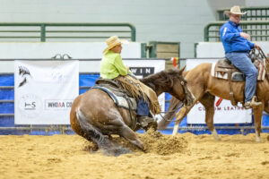 NCHA - Showdown in the South
