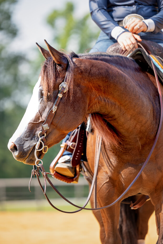 Social Media for Equestrians