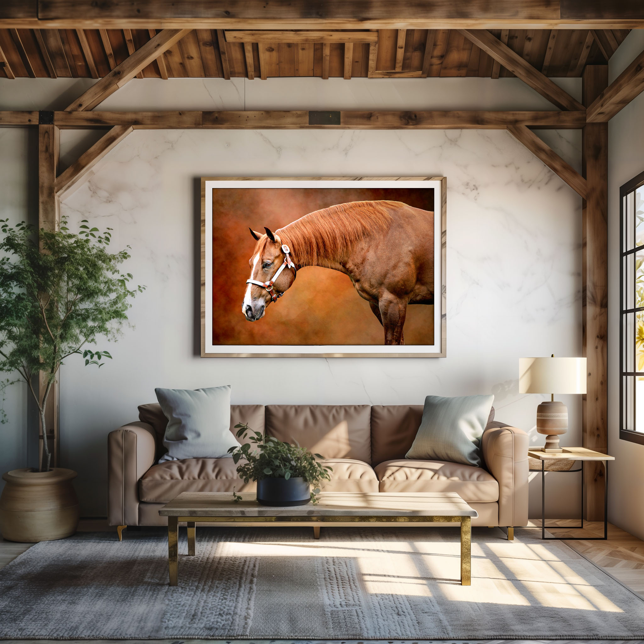 Horse Fine Art Photography