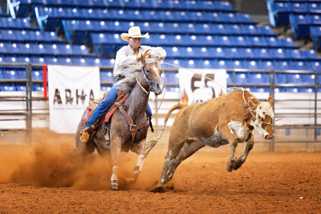 Southern Ranch Horse Sizzler