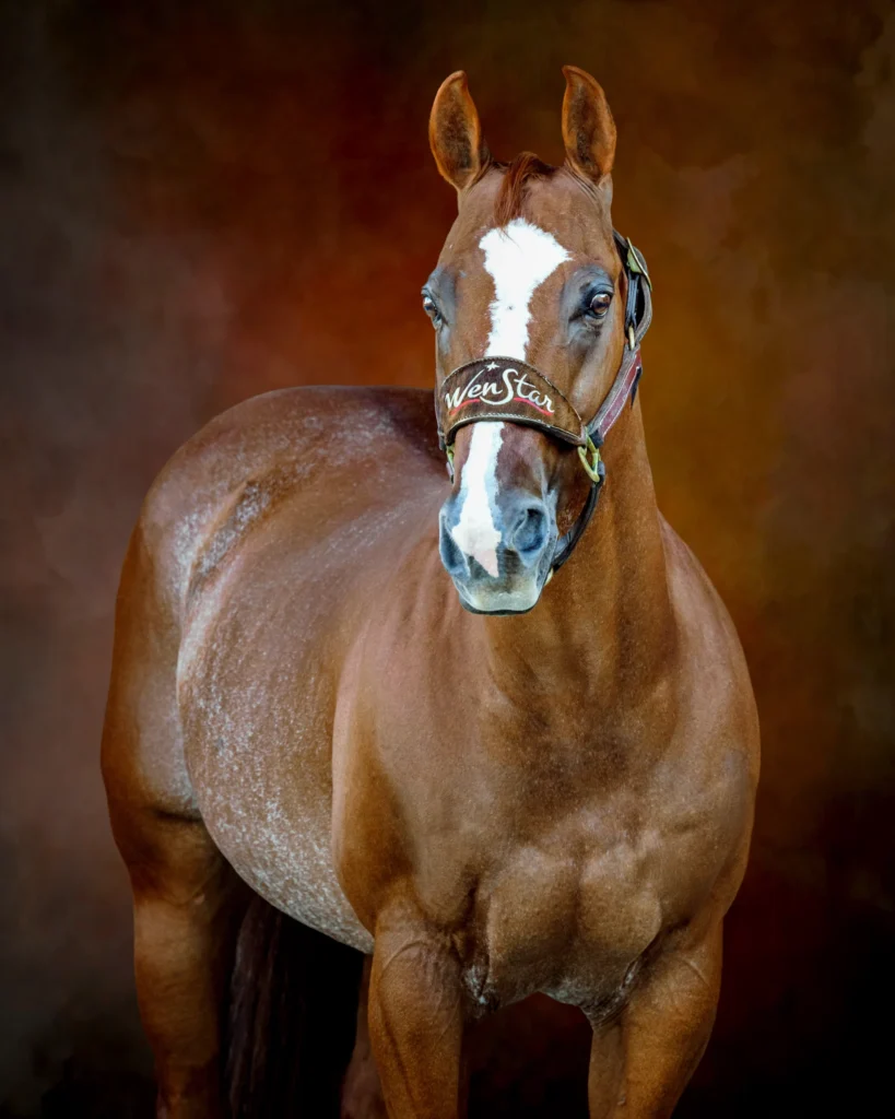 fine art painterly background
