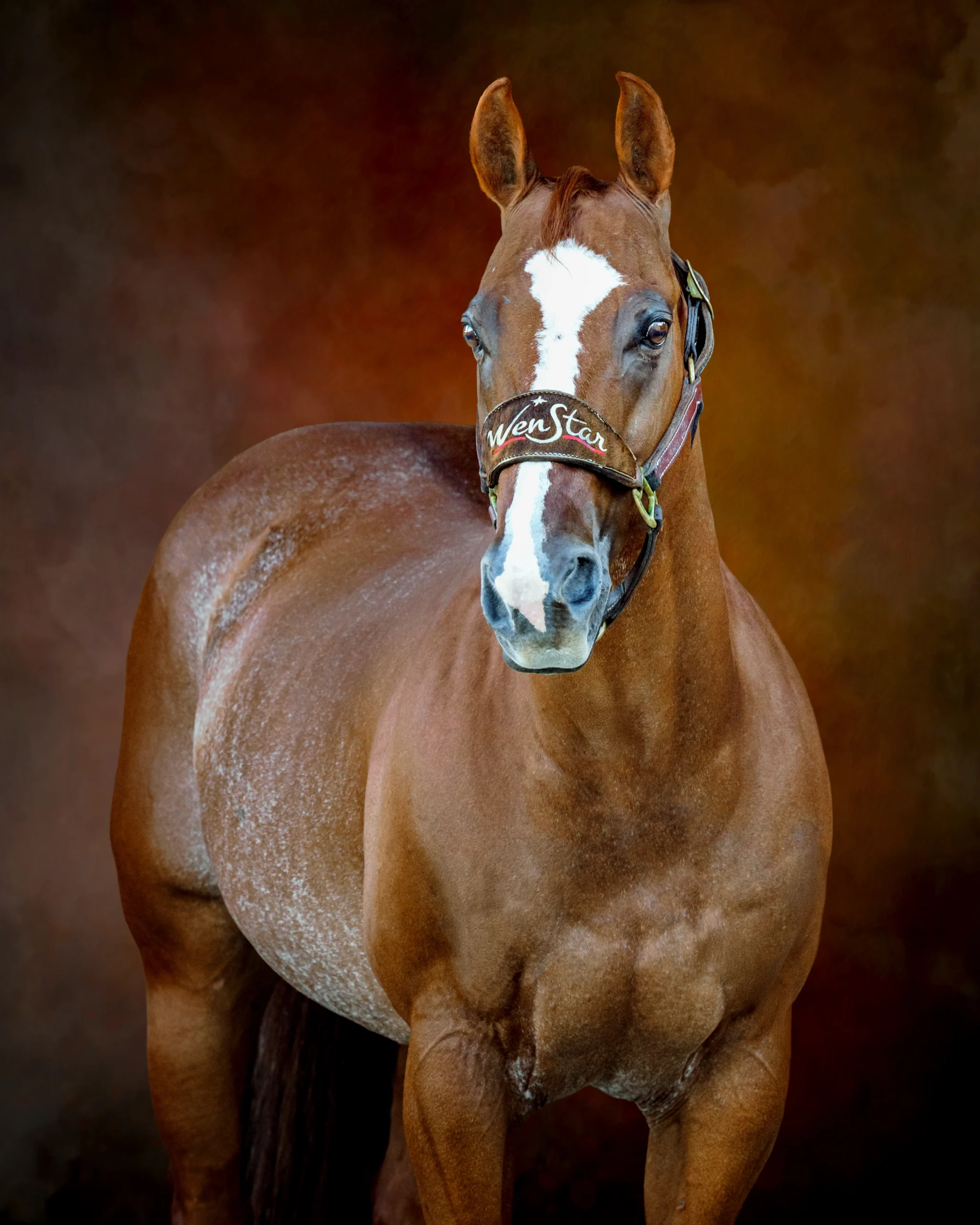 fine art painterly background