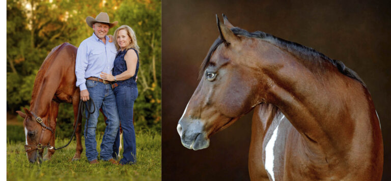 Fine Art Horse Wall Art - eugene & Sabrina