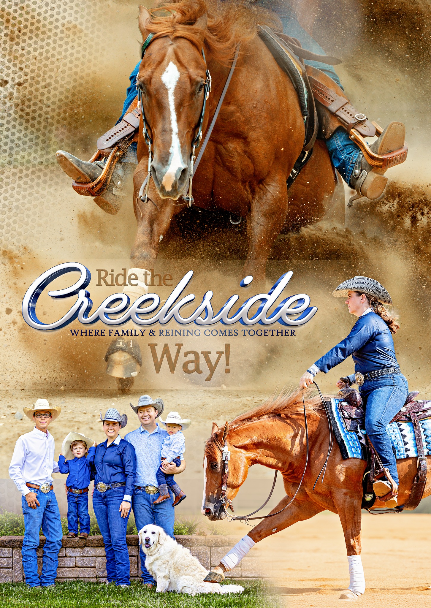 banner reining horses